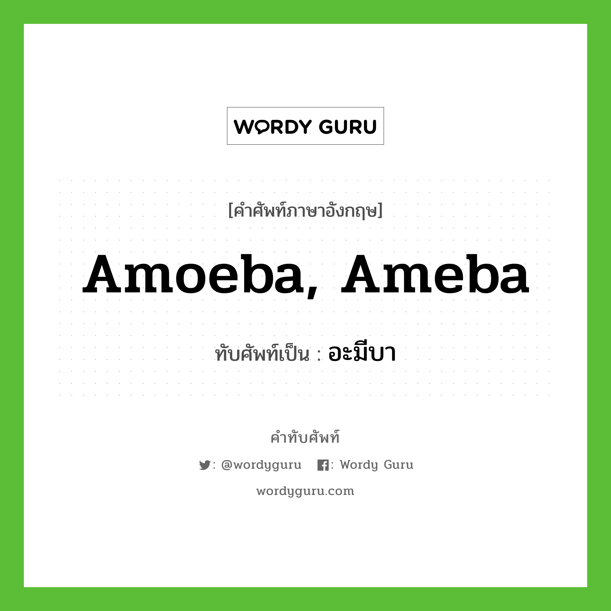 อะมีบา เขียนอย่างไร?, คำศัพท์ภาษาอังกฤษ อะมีบา ทับศัพท์เป็น amoeba, ameba