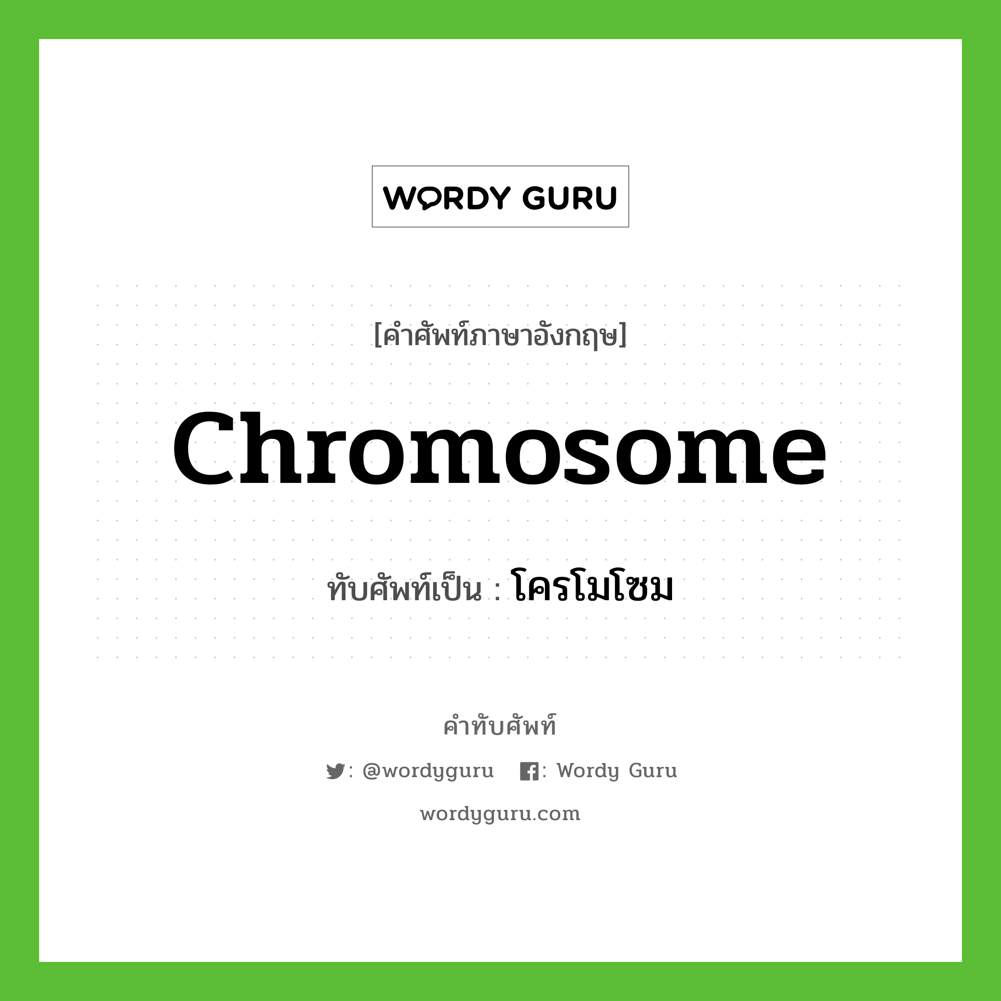chromosome เขียนเป็นคำไทยว่าอะไร?, คำศัพท์ภาษาอังกฤษ chromosome ทับศัพท์เป็น โครโมโซม