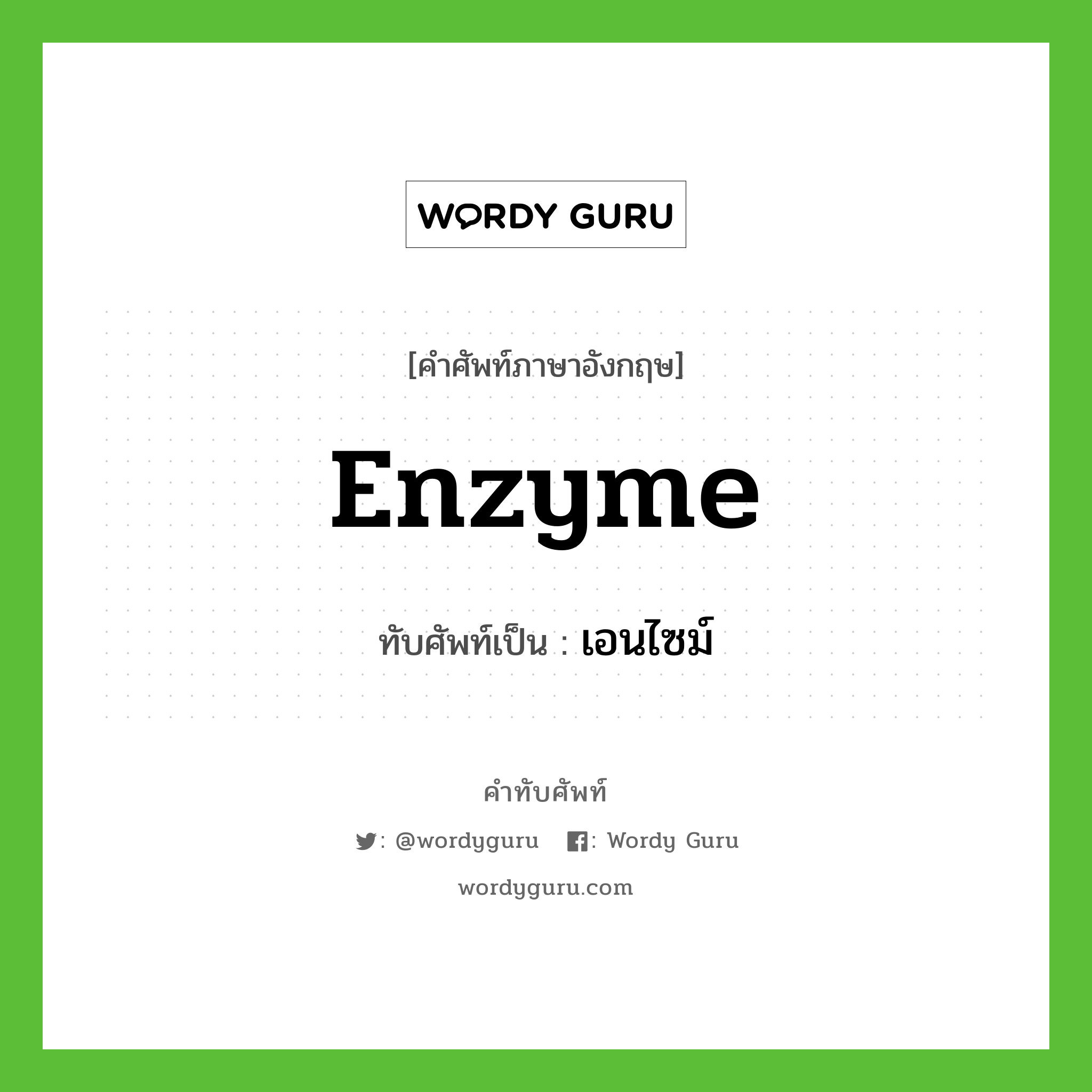 enzyme เขียนเป็นคำไทยว่าอะไร?, คำศัพท์ภาษาอังกฤษ enzyme ทับศัพท์เป็น เอนไซม์