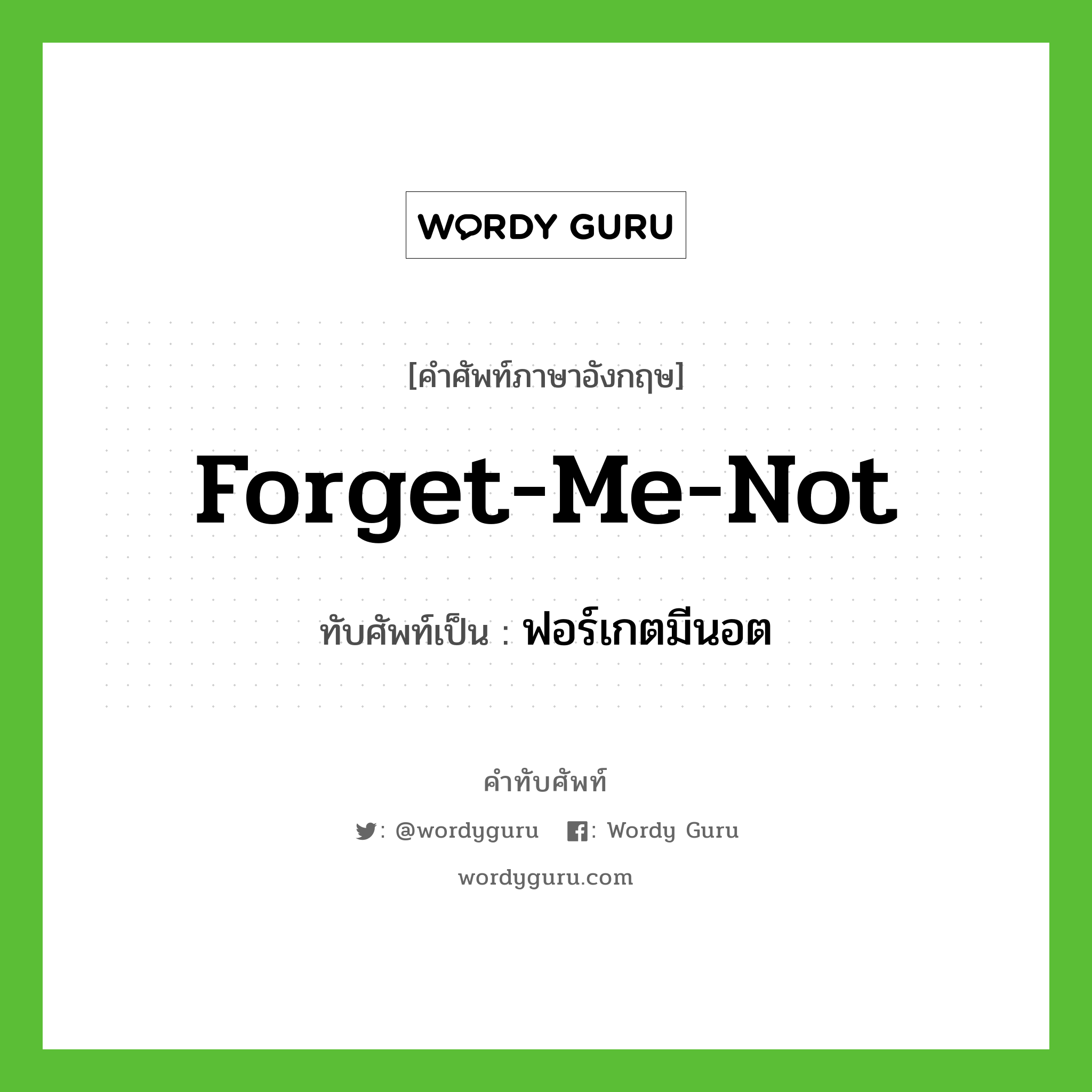 forget-me-not เขียนเป็นคำไทยว่าอะไร?, คำศัพท์ภาษาอังกฤษ forget-me-not ทับศัพท์เป็น ฟอร์เกตมีนอต