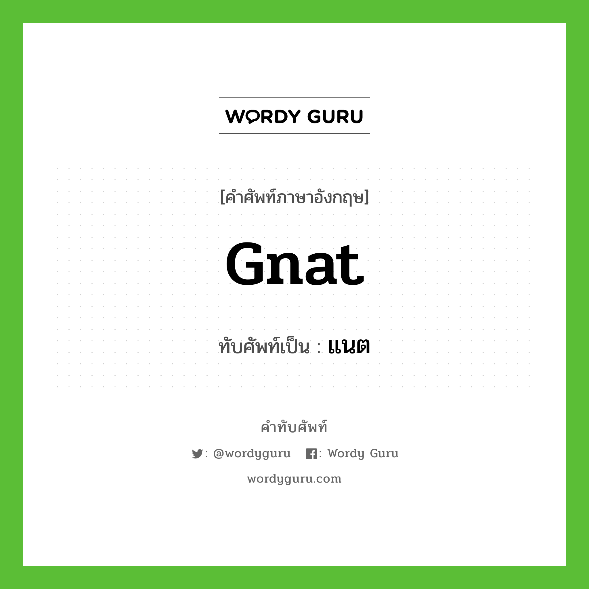 gnat เขียนเป็นคำไทยว่าอะไร?, คำศัพท์ภาษาอังกฤษ gnat ทับศัพท์เป็น แนต