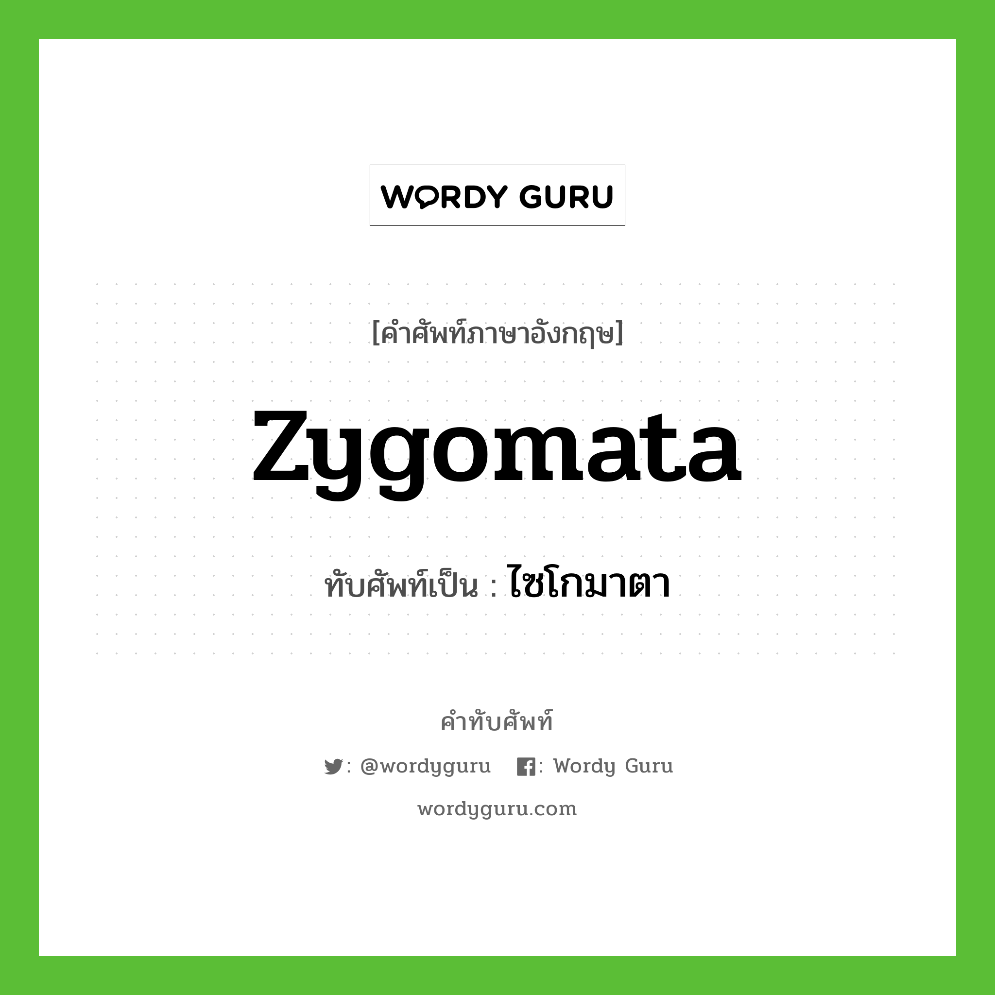 zygomata เขียนเป็นคำไทยว่าอะไร?, คำศัพท์ภาษาอังกฤษ zygomata ทับศัพท์เป็น ไซโกมาตา