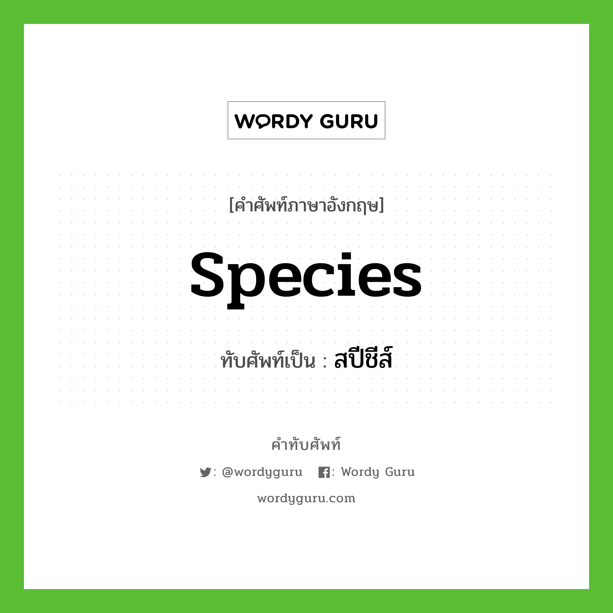 species เขียนเป็นคำไทยว่าอะไร?, คำศัพท์ภาษาอังกฤษ species ทับศัพท์เป็น สปีชีส์